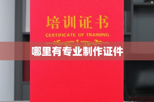 会东哪里有专业制作证件